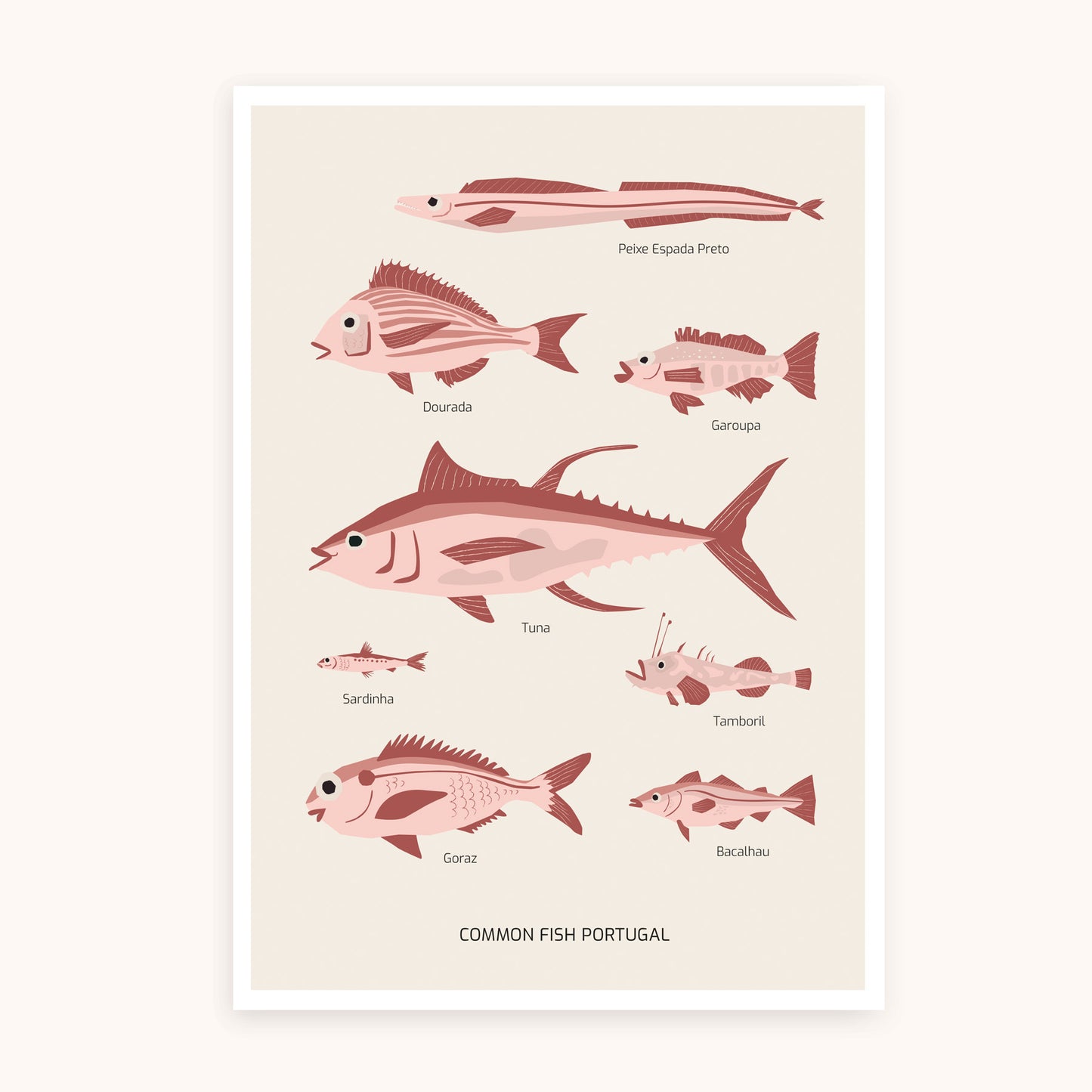 Common Fish Portugal