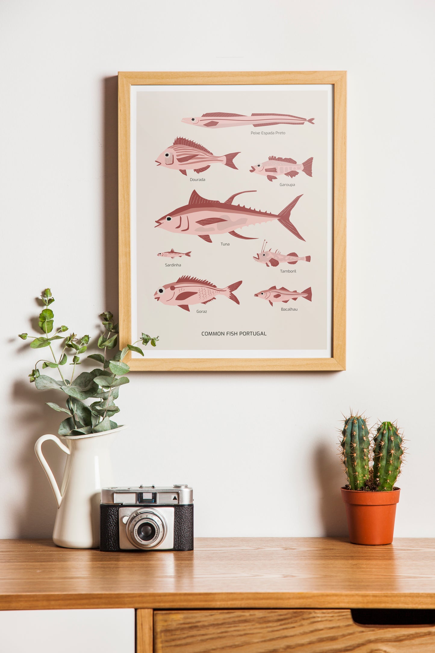Common Fish Portugal