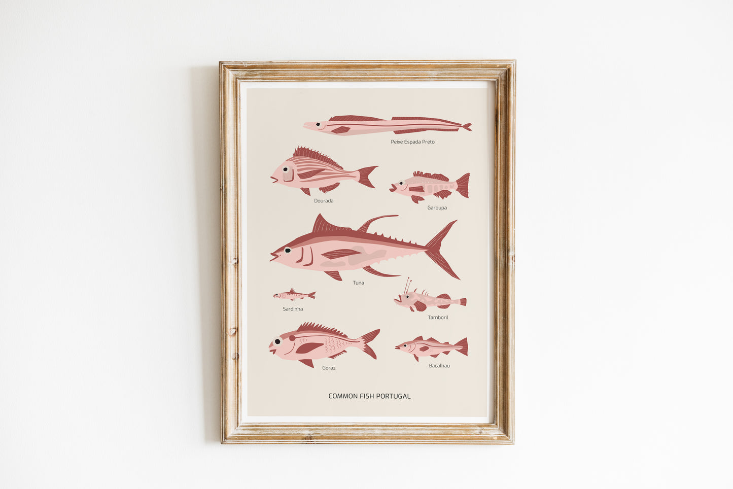 Common Fish Portugal