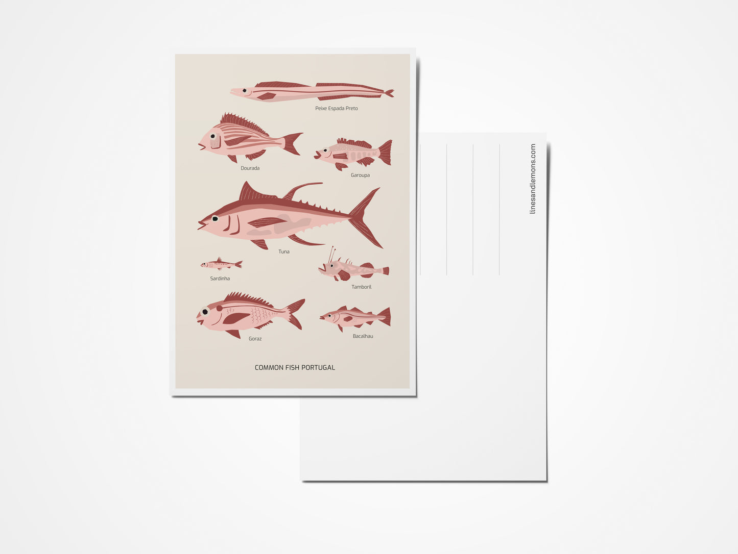 Common Fish Portugal postcard set x4