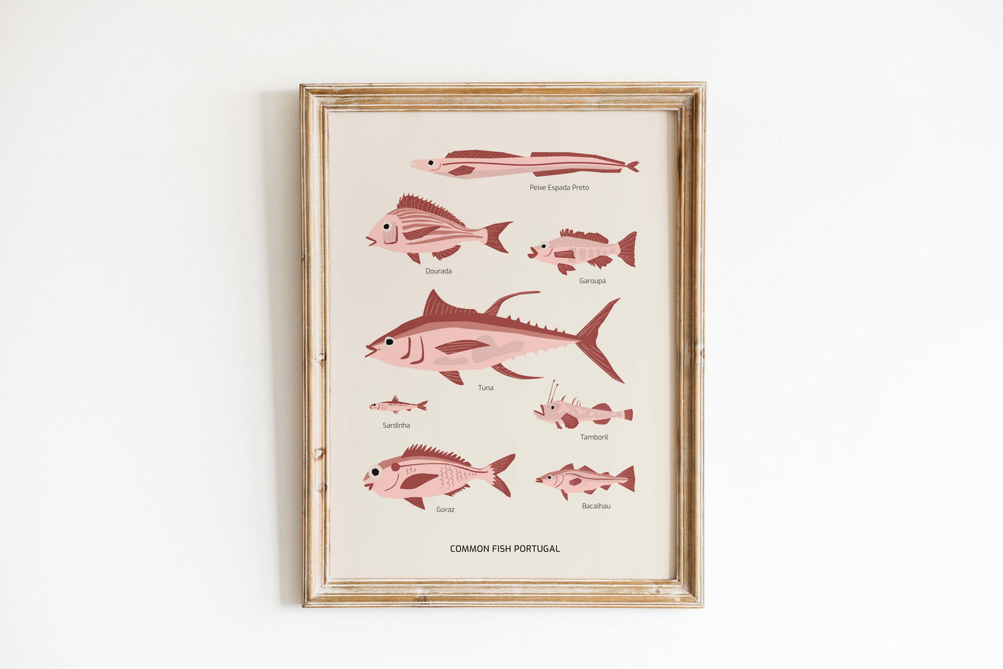 Common Fish Portugal